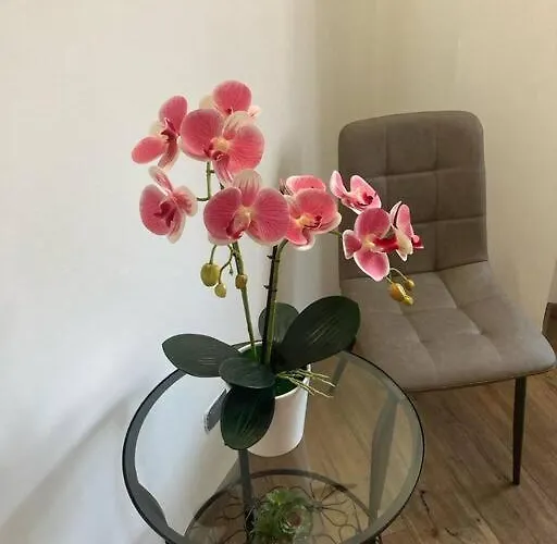 Apartment Bellissimo Appartamento- Metro Battistini - Vaticano - 120mq